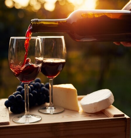 Uma experiência única com o melhor do vinho português