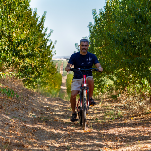 Ecoturismo Alentejo Vineyards - janeiro, fevereiro e março 2024