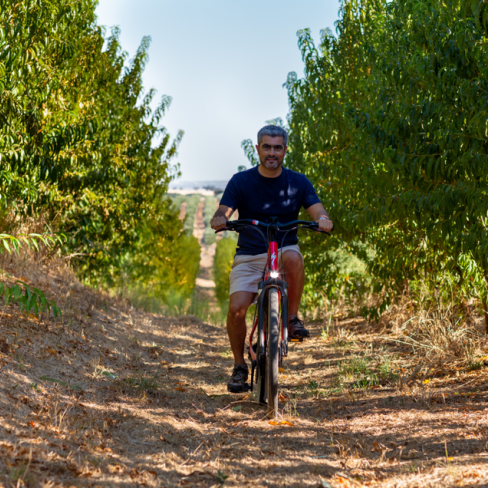 Ecoturismo Collection Monte do Vilar - junho, julho e setembro 2025