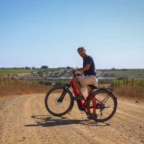 Ecoturismo Alentejo Vineyards - janeiro, fevereiro e março 2024