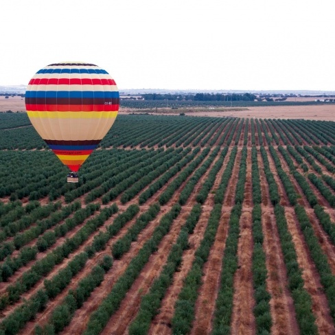 Ecoturismo Collection Monte do Vilar - junho, julho e setembro 2025