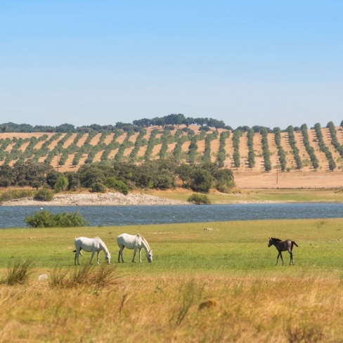 Romântico Vila Galé Collection Alter Real 2025