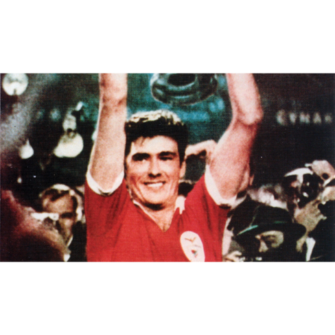 Camisola Retro do Benfica Campeão Europeu em 1961