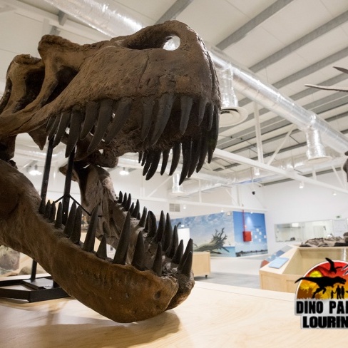 Dino Parque da Lourinhã - Uma Viagem de 400 Milhões de Anos!
