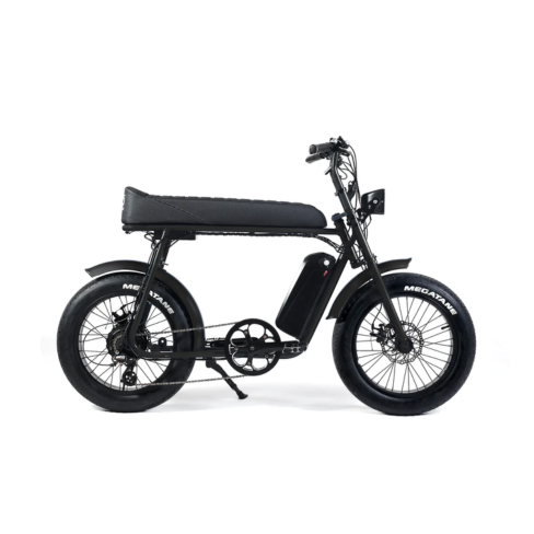 R-Series Large 750W 20Ah Preto