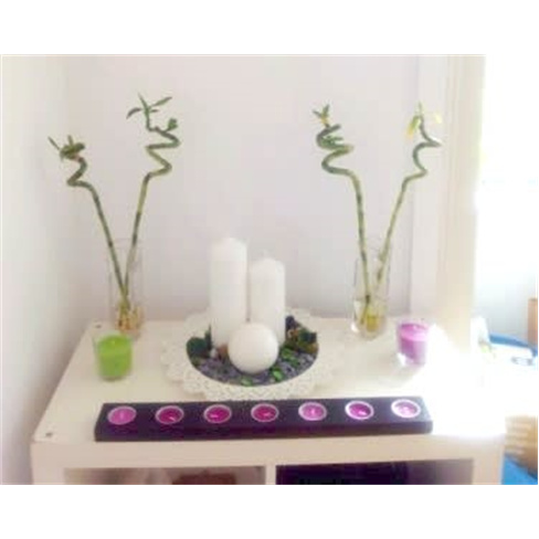 Consulta de Ressonância Magnética Quântica + Check-up | Lisboa