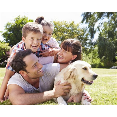 Sessão Fotográfica Pets & Family | Porto