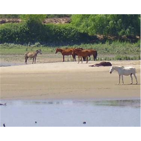 Canoagem no Estuário do Tejo 2h30 | Tagus Natura Experiência para 2 Pessoas