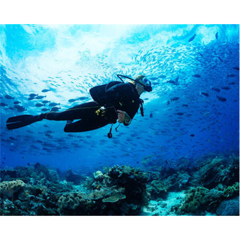 Baptismo de Mergulho no Mar...co | 4 Horas | Sesimbra Experiência para 2 Pessoa