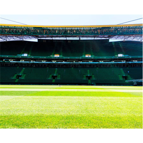 100% Sporting Clube de Port...ádio com opção de Cachecol Família | Entrada M