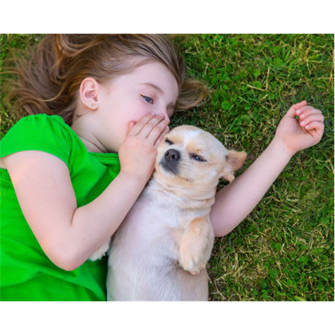 Sessão Fotográfica Outdoor c/ Animal de Estimação + Opção 15 Fotos Editada