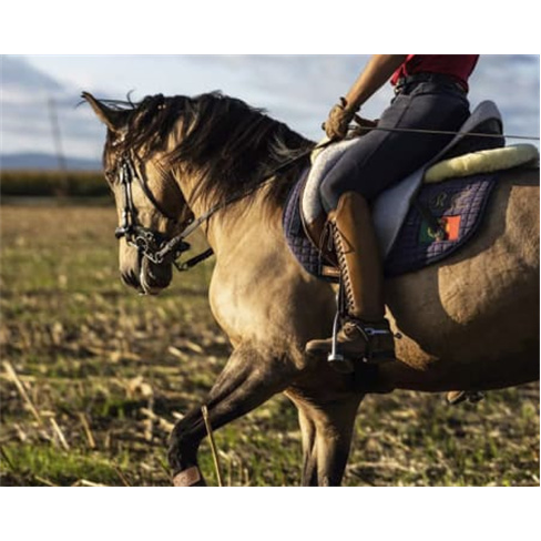 Passeio a Cavalo na Golegã | 1 Hora na Natureza Passeio a Cavalo | 2 Pessoas