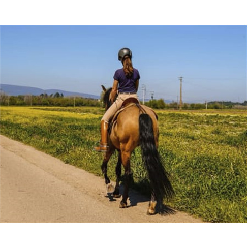 Passeio a Cavalo na Golegã | 1 Hora na Natureza Passeio a Cavalo | 2 Pessoas