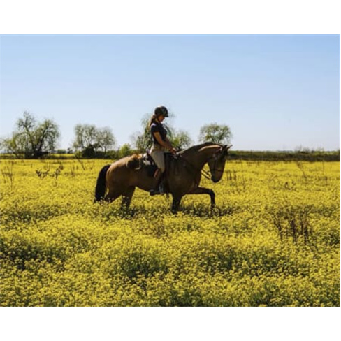 Passeio a Cavalo na Golegã | 1 Hora na Natureza Passeio a Cavalo | 2 Pessoas