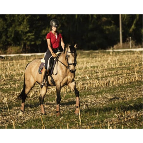 Passeio a Cavalo na Golegã | 1 Hora na Natureza Passeio a Cavalo | 2 Pessoas
