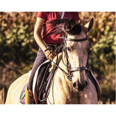 Passeio a Cavalo na Golegã | 1 Hora na Natureza Passeio a Cavalo | 2 Pessoas