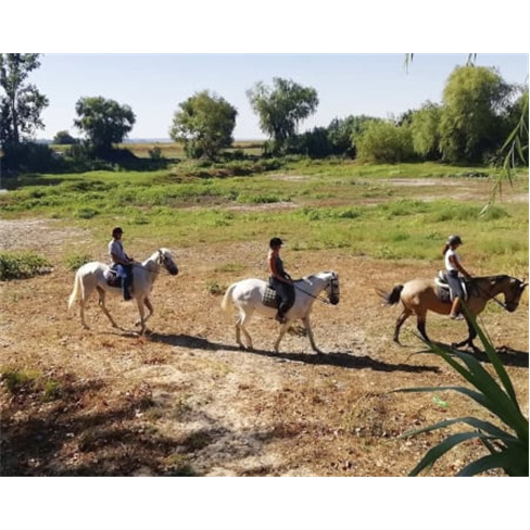 Passeio a Cavalo na Golegã | 1 Hora na Natureza Passeio a Cavalo | 2 Pessoas
