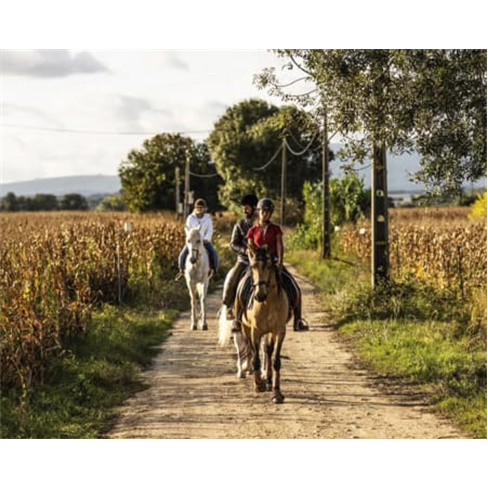 Passeio a Cavalo na Golegã | 1 Hora na Natureza Passeio a Cavalo | 2 Pessoas