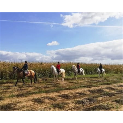 Passeio a Cavalo na Golegã | 1 Hora na Natureza Passeio a Cavalo | 2 Pessoas