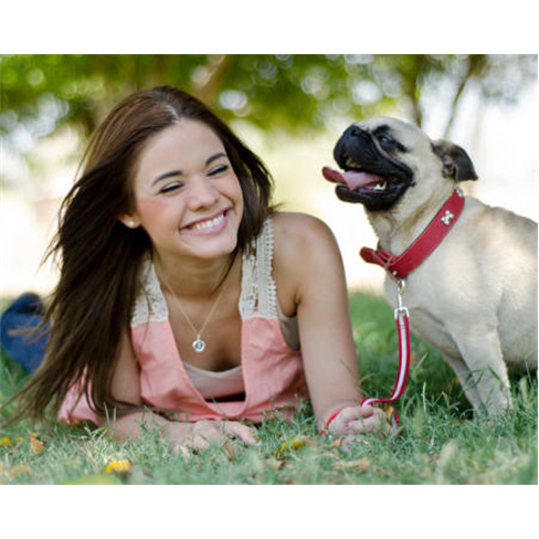 Sessão Fotográfica Outdoor ...m Animal de Estimação + 15 Fotos Editadas | 1