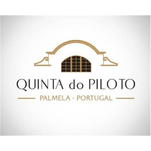 Experiência Vinícola e Degustação na Quinta do Piloto | Palmela Experiência