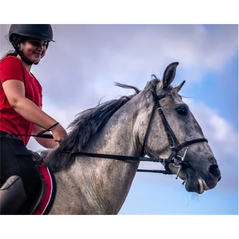 Baptismo de Cavalo ou Pónei com Visita a Quinta Pedagógica | Aveiro