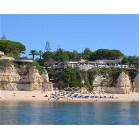 Passeio de Semi-Rígido Grutas & Golfinhos - Albufeira 2h30 Experiência para Ad