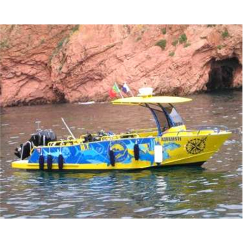 Baptismo de Mergulho no Mar e Viagem de Barco às Berlengas | AcuaSubOeste