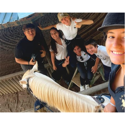Aula de Equitação no Campo Grande | Escola LMG Equestre - Lisboa Nível Inicia
