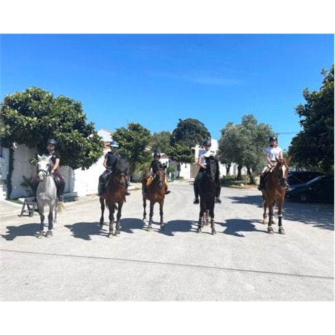 Aula de Equitação no Campo Grande | Escola LMG Equestre - Lisboa Nível Inicia
