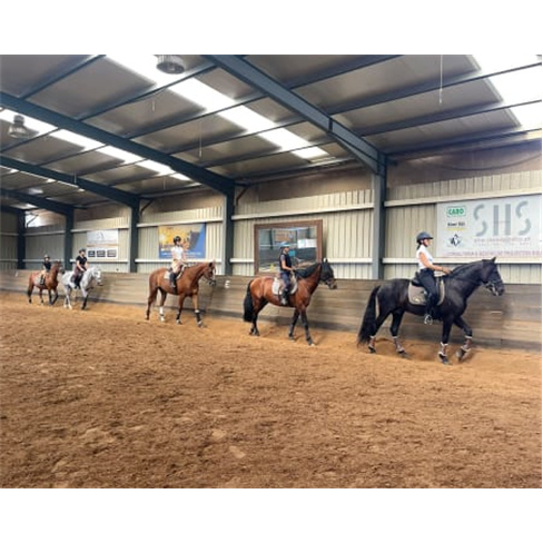 Aula de Equitação no Campo Grande | Escola LMG Equestre - Lisboa Nível Inicia