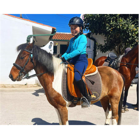 Aula de Equitação no Campo Grande | Escola LMG Equestre - Lisboa Nível Inicia
