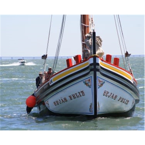 Cruzeiro em Veleiro Tradicional pelo Rio Tejo | 45 Minutos Bilhete de Adulto