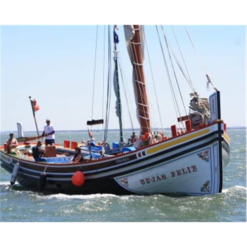 Cruzeiro em Veleiro Tradicional pelo Rio Tejo | 45 Minutos Bilhete de Adulto