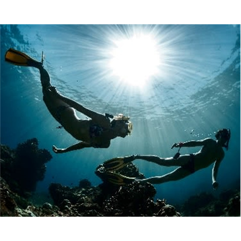 Snorkeling no Mar para Dois - Berlengas | JustDive Underwater Experiences