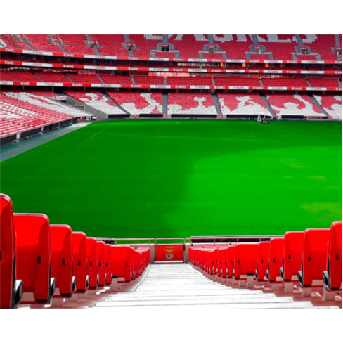 Pack BENFICA: Visita ao Est...a ao Estádio + 1 Cachecol | 2 adultos + 2 crianç