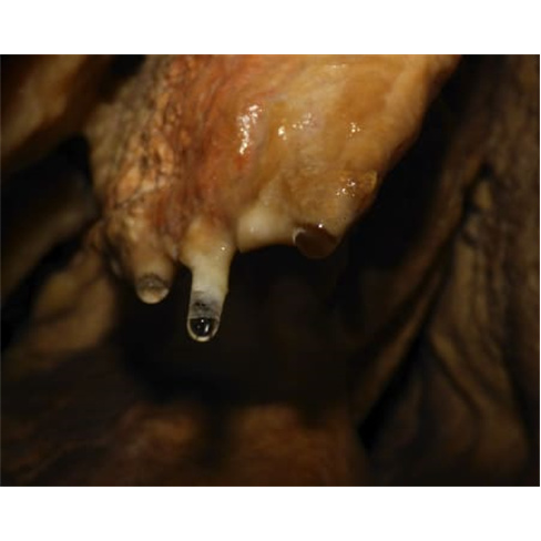Espeleologia na Arrábida! D...er The Nature Espeleologia na Arrábida | 4 Pesso