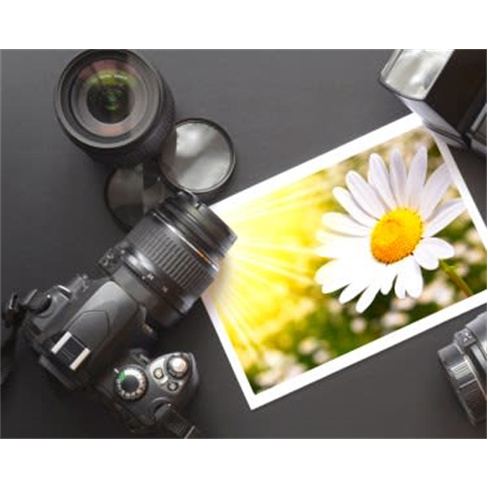 Workshop de Fotografia | 4 Horas - Aprenda a Usar o seu Equipamento | Luz do Des
