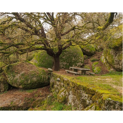 Quinta de São Vicente - Braga | Estadia Romântica 1 Noite