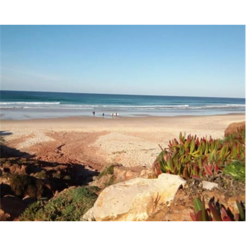 Urban Art Camping - Peniche | Estadia em Bungalow para 4 Pessoas 1 Noite
