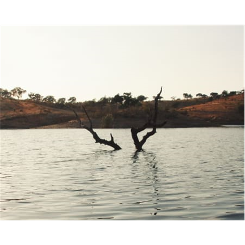 Safari pelo Alentejo | Fantástico Passeio de Jipe no Montado! Passeio de Jipe +
