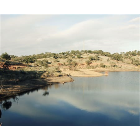 Safari pelo Alentejo | Fantástico Passeio de Jipe no Montado! Passeio de Jipe +