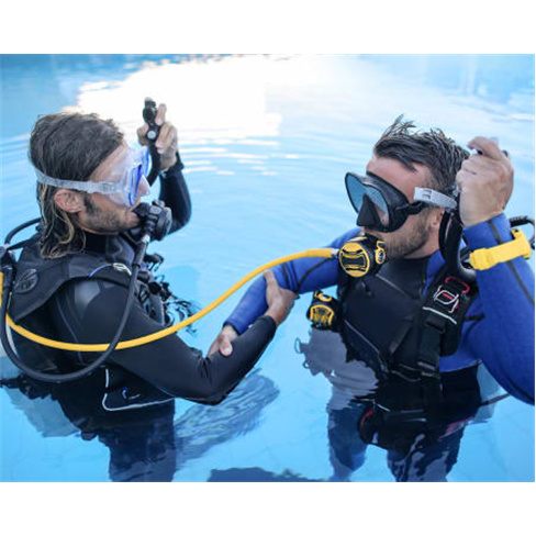 PADI Open Water Diver | Curso de Mergulho Inicial - Arrábida