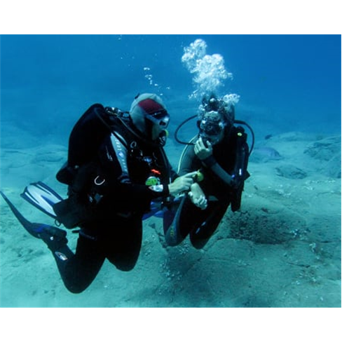 Mergulho com guia | Porto Santo Sub Snorkeling | 2hnnTotal de caracteres: 50.