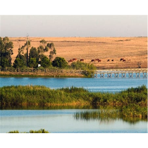 Herdade dos Grous - Albernoa | Escapadinha de Luxo no Alentejo 2 Noites