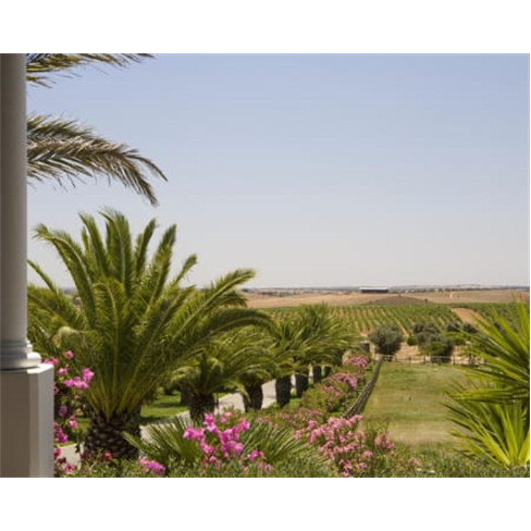 Herdade dos Grous - Albernoa | Escapadinha de Luxo no Alentejo 2 Noites