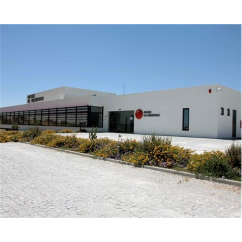 Safari pelo Alentejo | Fantástico Passeio de Jipe no Montado! Passeio de Jipe +