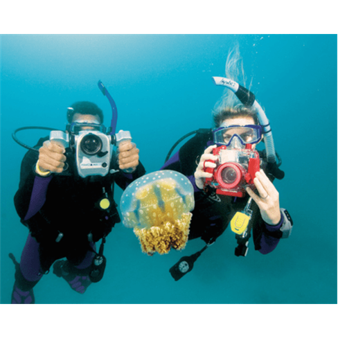 Descubra o Mar de Sagres a Dois | Mergulho até 12 Metrosnn(59 caracteres)
