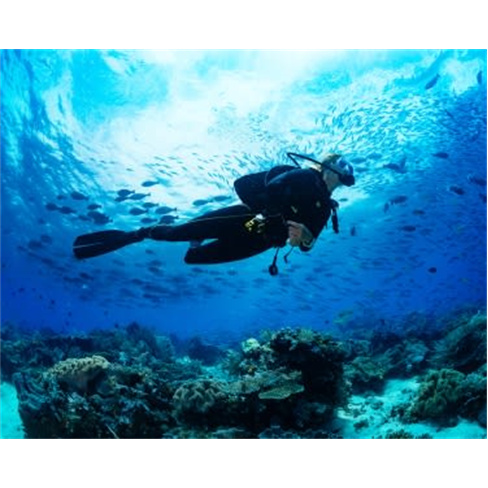 Batismo de Mergulho no Mar | 15 Experiências à Escolha