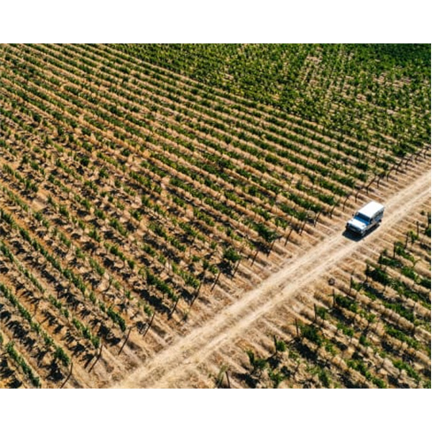 Passeio de Jipe + Prova de Vinhos | Herdade de Coelheiros - Arraiolos Passeio de